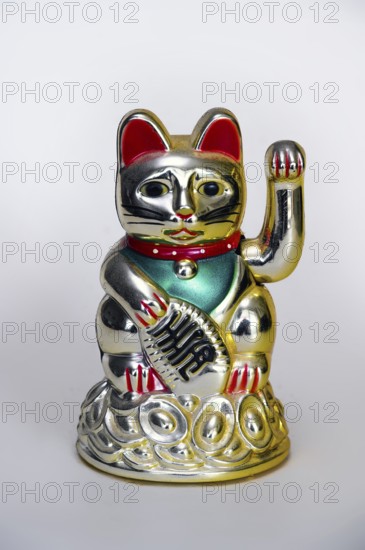 Japanese lucky charm, waving cat, Manekineko