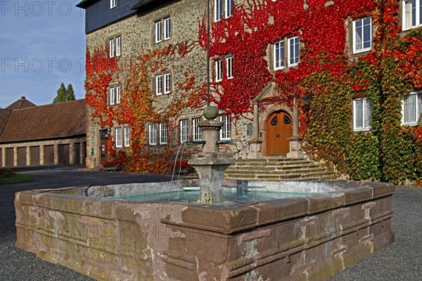 Castle, vine leaves, Lauterbach, Vogelsbergkreis district, Hesse, Germany, Europe