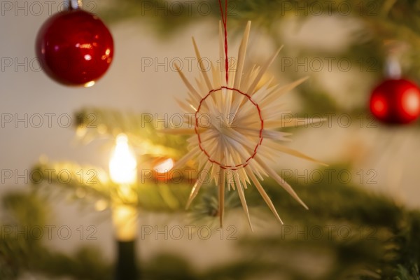 Traditionally, the doors to the Christmas exhibition at the LOHGERBER MUSEUM & GALLERY in