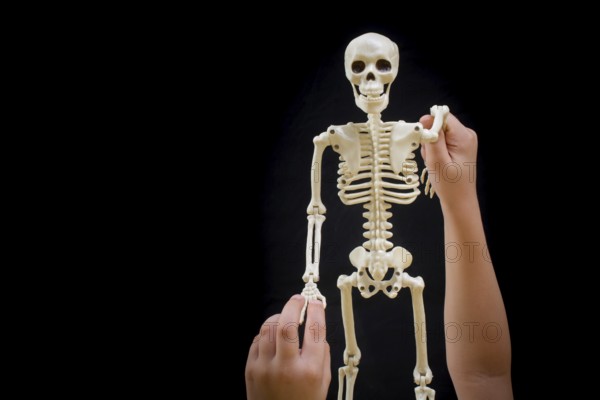 Little boy holding a small size artificial skeleton in hand