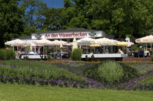 Cafe 'An den Wasserbecken', Westfalenpark Dortmund, Ruhr Area, shrub rose (Rosa), Germany, Europe