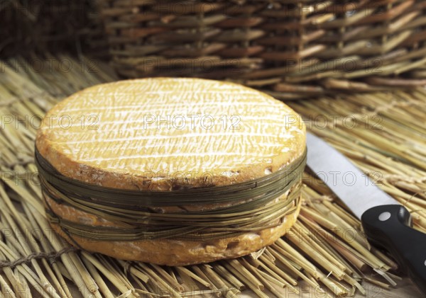 Livarot, French cheese, made in Normandy from cow's milk