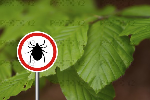 Tick insect warning sign in nature forest. Lyme disease and tick-borne meningoencephalitis