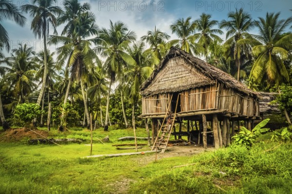Photo of large house made of straw and bamboo in Palembe, Sepik river in Papua New Guinea. In this
