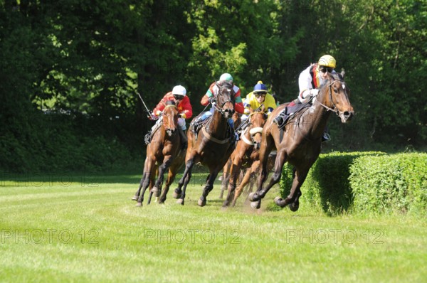 Gallop racing, English thoroughbred, Race, Gallop, Jockey, Jockeys