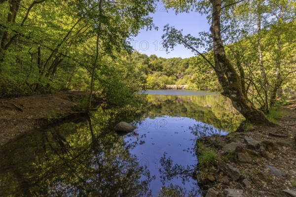 Scenic view at the silver lake on the mountain Lemberg, Rhineland-Palatinate, Germany, Europe