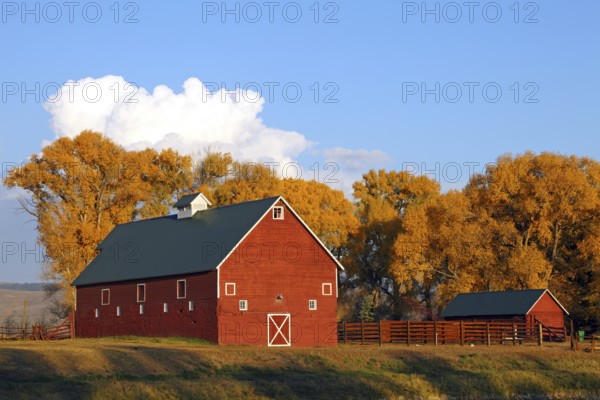 Rote Scheune, Horse River Ranch, Ohio Pass, Gunnison, Colorado, USA, North America
