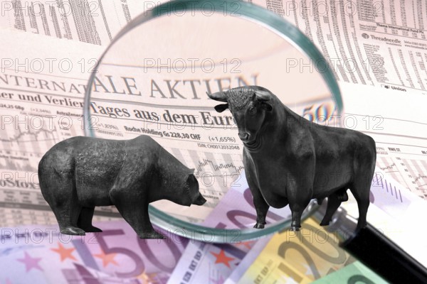 Bull and bear, symbolic figures of the stock market, Studio