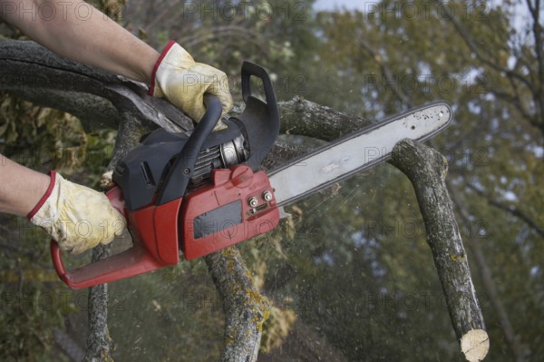 In an outdoor environment the person uses a chainsaw to cut through logs