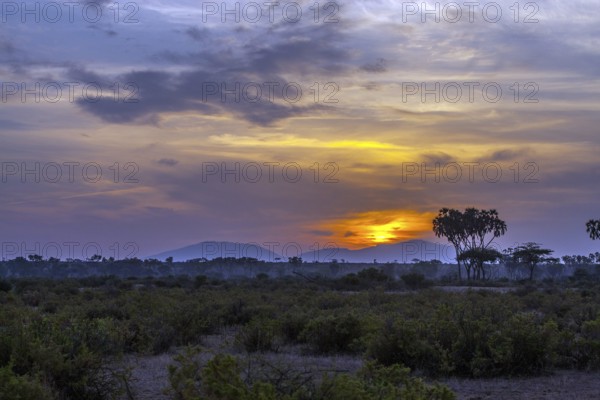 Sunrise in Samburu National Park, Rift Valley, Kenya, Samburu National Park, Kenya, Africa