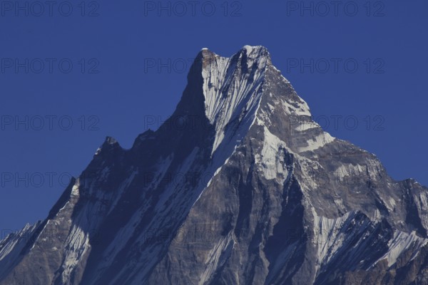 Mount Machapuchare, famous mountain of the Annapurna range, Nepal. View from Mohare Danda
