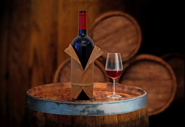 Wine tasting in a winery