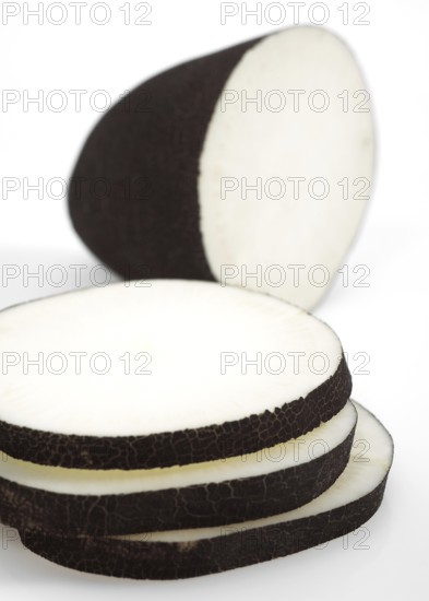 Black radish (raphanus sativus) niger, vegetable against white background