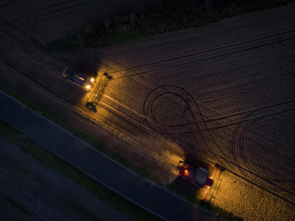 A combine harvester harvests a grain forest. When it is harvest time, the grain must also be