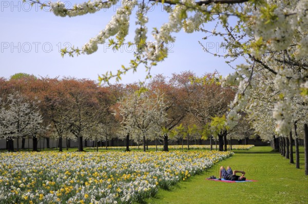 Schwetzingen, Spring in the Palace Gardens