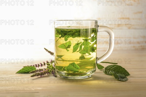 Fresh peppermint leaves brewed as a healthy herbal tea in a glass cup, some flowering stems on a