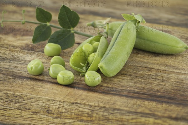 Fresh green peas, pea pods with green leaves and open pea pod on a wooden surface, vegan nutrition