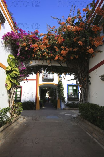 Puerto de Mogan