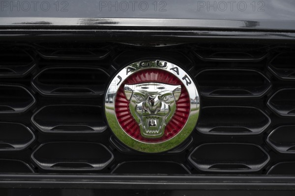 Logo of the car manufacturer Jaguar
