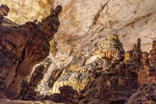 Majestic stalactites and stalagmites create a breathtaking spectacle in the illuminated caverns of