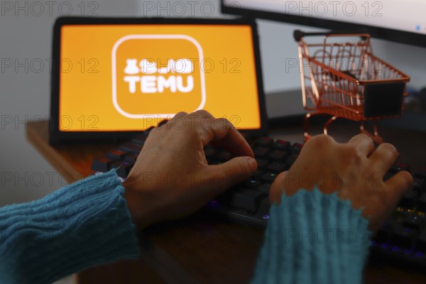In this photo illustration, a person typing and in the background the Temu logo is displayed on the