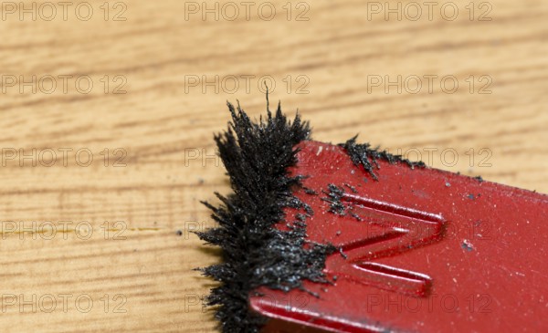 Closeup of iron filings attached to red colored north end of magnet on wood grain background