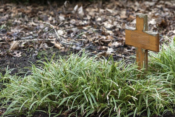 Small wooden cross in the grass