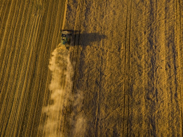 A combine harvester harvests a cereal forest