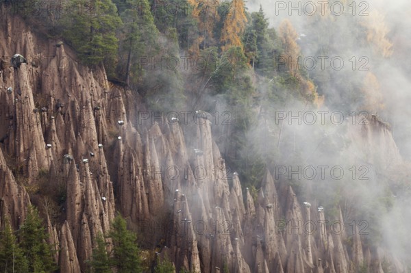 Rittner Erdpyramiden fairy chimneys of Lengmoos in rising mist, Bolzano, South Tyrol, Italy, Europe