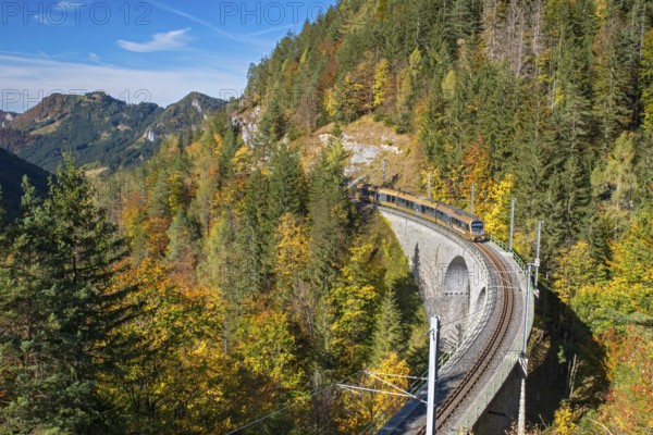 The Himmelstreppe of the Mariazell Railway travels through the autumnal landscape of the