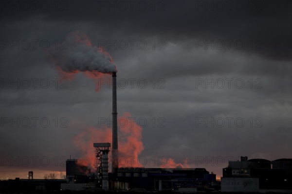 The Südzucker factory in Plattling at sunrise, water vapour coming out of the chimney, sugar
