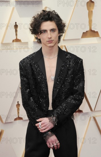 Timothée Chalamet at the 94th Annual Academy Awards held at the Dolby Theatre in Los Angeles, USA