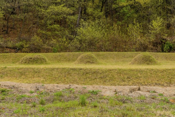 Three unmarked burial mounds at foot of tree covered mountainside, South Korea, South Korea, Asia