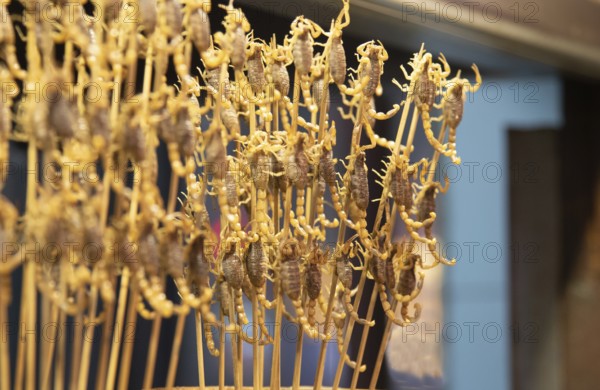 Cooked and tasty deep fried Scorpions on a stick. A special Chinese traditional street food