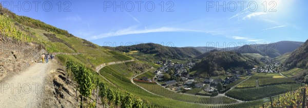 Panorama of Mayschoß in the Ahr valley from the red wine hiking trail