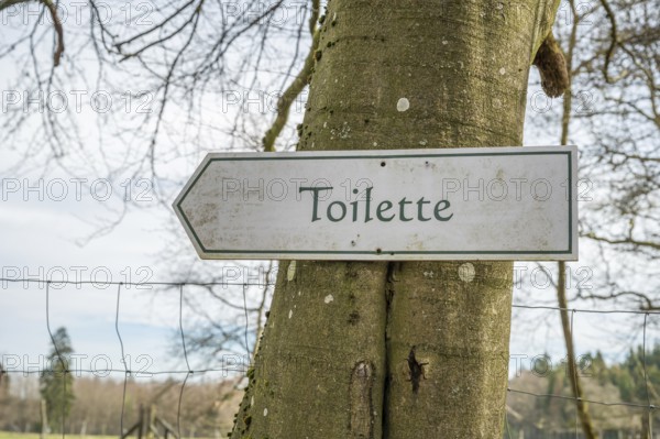 German white toilet Toilette direction sign at a tree trunk