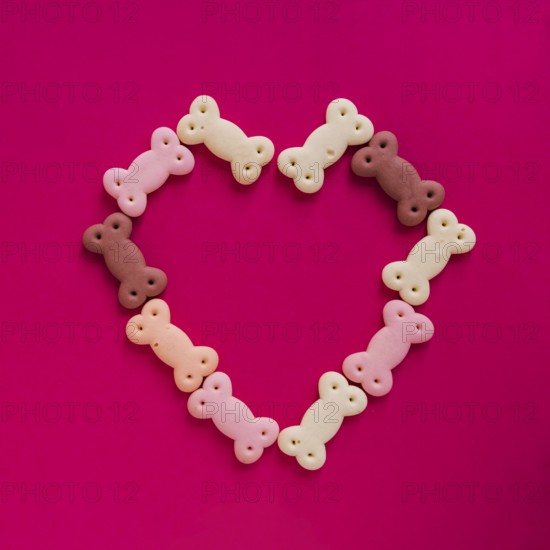 Dog snacks heart shape