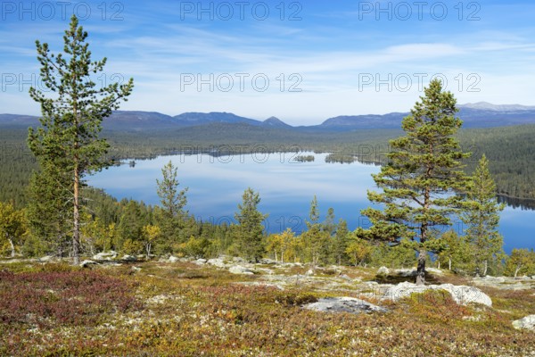Gutulisjøen, Gutuli Lake, Gutulia National Park, Engerdal, Hedmark, Norway, Europe