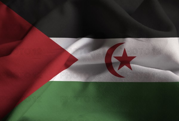 Closeup of Ruffled Western Sahara Flag, Western Sahara Flag Blowing in Wind
