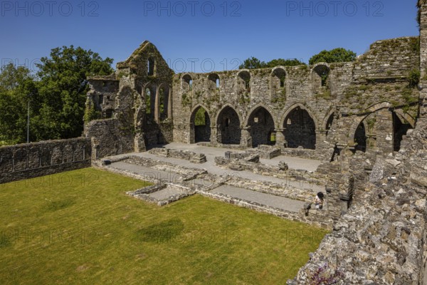 Jerpoint Abbey, County Kilkenny, Ireland, Europe