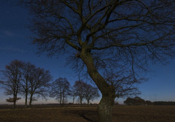 Starry sky, Lower Saxony, Germany, Europe