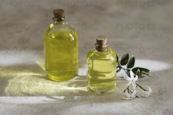 High view natural olive oils