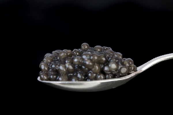 Caviar, sturgeon eggs