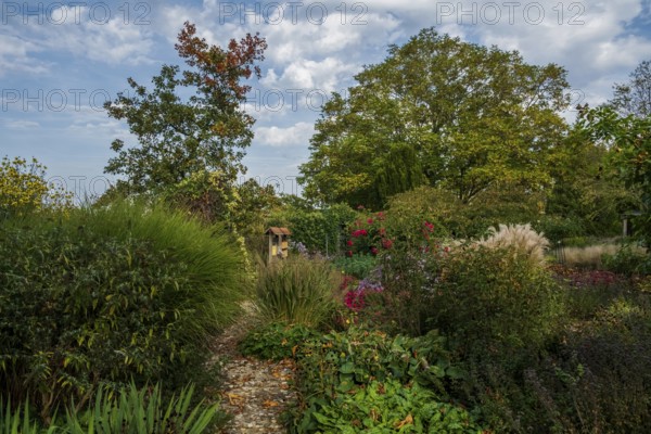 Autumn in the District Teaching Garden