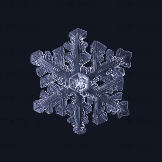Macro shot of a real snowflake