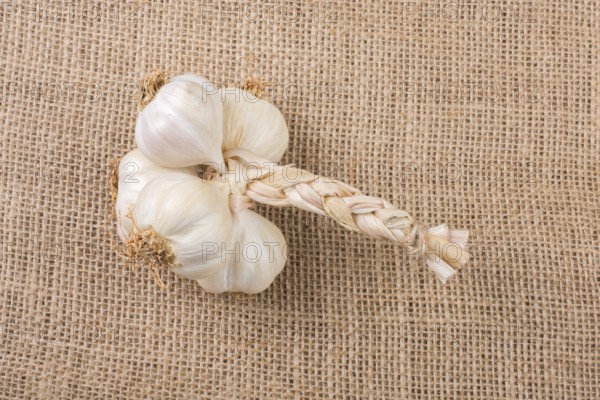 Cloves of garlic placed on a canvas texture