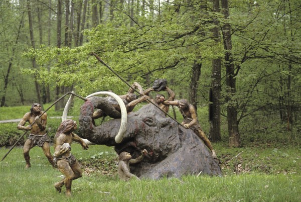 Woolly Mammoth, Woolly Mammoth Furry Mammoth, Mammoth, extinct, Elephants, Mammals, Animals,