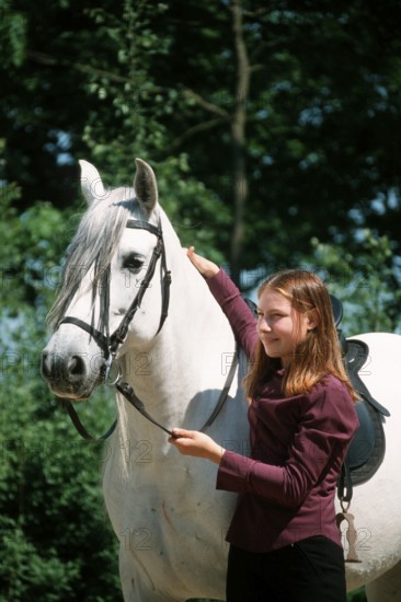 Andalusian girl, gelding, PRE, Pura Raza Espanol, grey, bridle