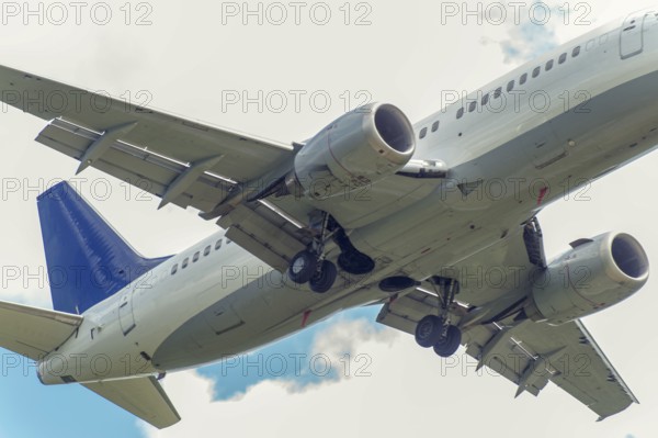 A passenger aircraft flying over from the frog's perspective
