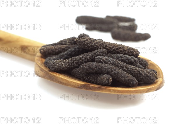 Long Pepper (piper longum), Berries against White Background